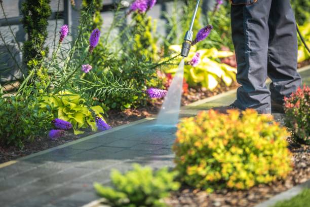  Waterville, ME Pressure Washing Pros